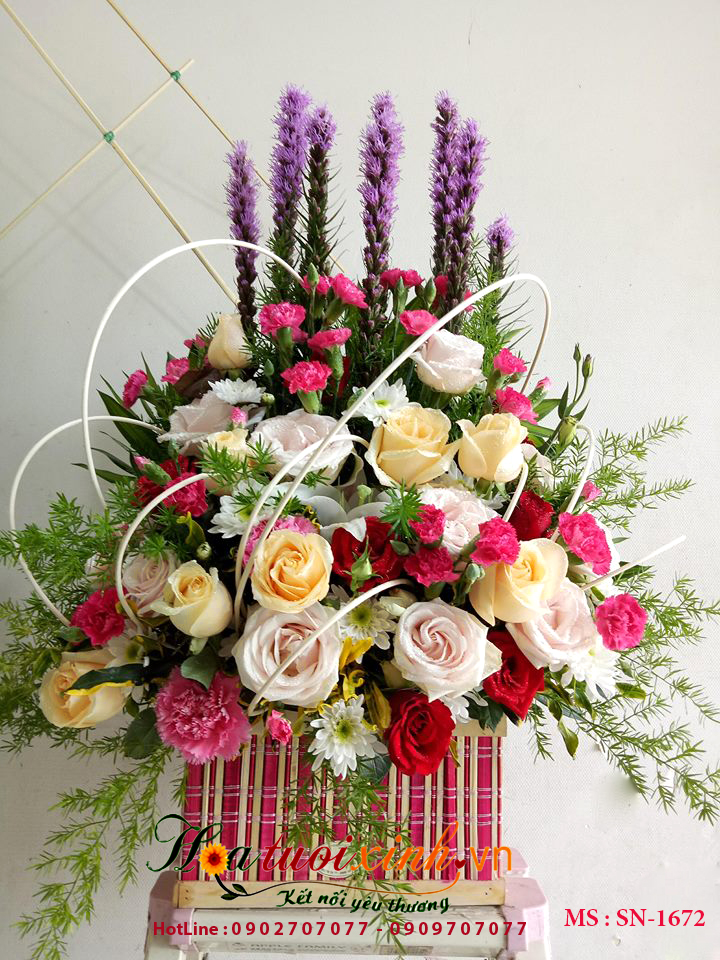 SN-1672 SN-1672 - Ảnh 1